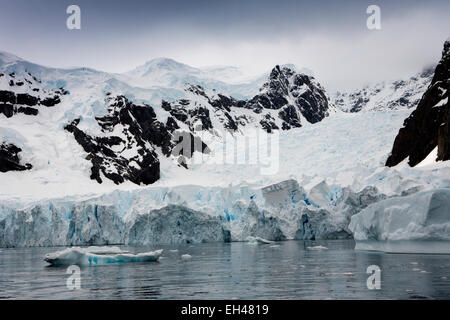 Antarktis, Paradise Bay, Ende der Gletscher brechen Weg ins Meer zu Form Eisberge Stockfoto