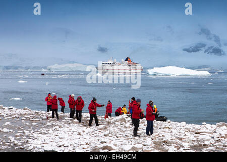 Antarktis, Neko Harbour, MS Hanseatic Kreuzfahrtschiff Gentoo Penguins anzeigen Stockfoto