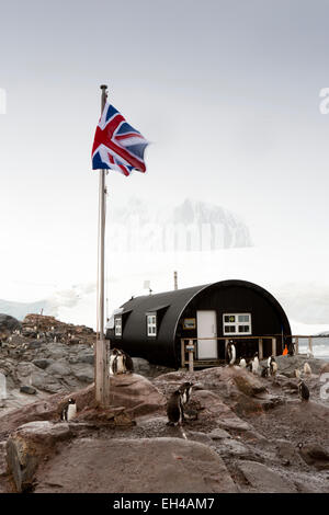 Antarktis, base Goudier-Insel, Port Lockroy, Gentoo Pinguine vor britischen Nissen Hütte und Union Jack UK Flagge Stockfoto