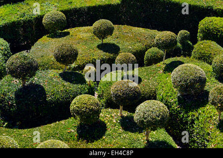 Überhängenden Gärten von Marqueyssac, Vezac, Dordogne, Perigord, Aquitanien, Frankreich Europa Stockfoto