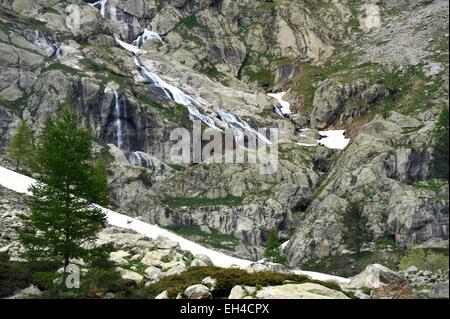 Frankreich, Alpes Maritimes, Parc national du Mercantour (Mercantour Nationalpark), Haute-finestre, Gordolasque Tal, Estrech Kaskade und eine Gämse auf ein Schneefeld Stockfoto