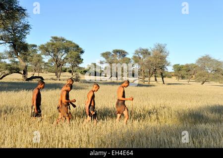 Namibia, Kalahari-Wüste, Intu Afrika Kalahari Game Reserve, Morgenspaziergang mit Buschmänner Stockfoto
