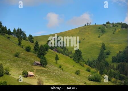 Rumänien, Siebenbürgen, Brasov Region, die Fagaras Mountains am Moieciu de Sus in den südlichen Karpaten Stockfoto