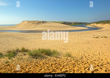 Frankreich, Landes, Moliets et Maa, die Mündung des nationalen Charakters reservieren Courant Huchet Stockfoto