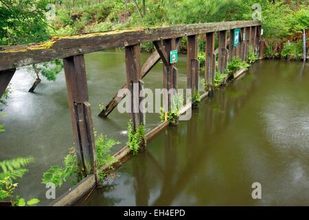 Frankreich, Landes, die Mündung des national Nature Reserve Courant Huchet, Flut Stockfoto