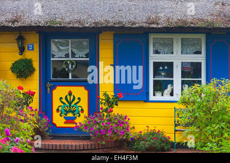 Verzierte Eingangstür des idyllischen Reetdachhaus in Born Auf Dem Darß / Darß, Fischland-Darß-Zingst, Deutschland Stockfoto