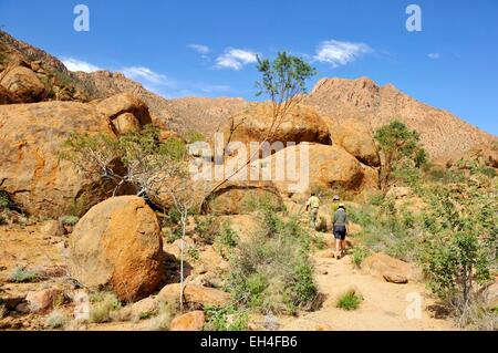 Namibia, Erongo Region, Damaraland, Brandberg, The White Lady Buschmann Felszeichnungen Höhle Stockfoto