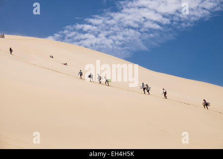 Busreise auf 90 Mile Beach und Dünen in Northland, Neuseeland Stockfoto