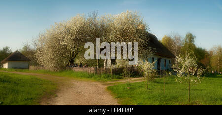 Landschaft Panoramahaus aus Lehm im blühenden Garten Ukraine.Museum von Kiew Stockfoto