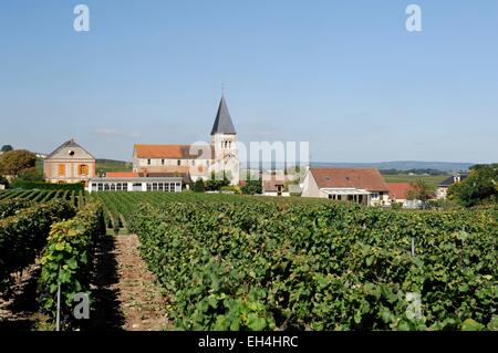 Frankreich, Marne, Sacy, Weinberge und Saint Remi Kirche in der befestigten römischen Architektur datiert des XII Jahrhunderts Stockfoto