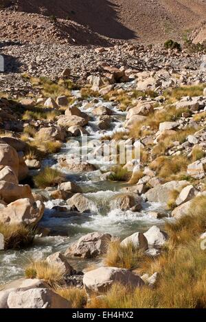 Marokko, hoher Atlas, Toubkal-Nationalpark, Ourika-Tal Stockfoto