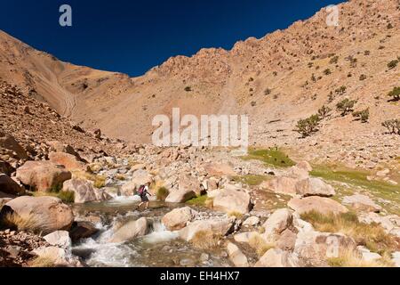 Marokko, hoher Atlas, Toubkal-Nationalpark, Ourika-Tal, Wanderer, die Überquerung des Flusses Stockfoto