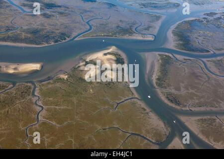 Frankreich, Gironde, Ares, Bassin d ' Arcachon bei Ebbe (Luftbild) Stockfoto