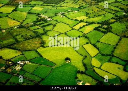 Grüne Weiden, wie aus der Luft gesehen. Irland Stockfoto