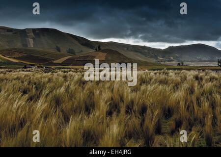 Ecuador, Cotopaxi, Tigua, Anden Landschaft von einer Ebene in einer bergigen Umgebung unter einem stürmischen Himmel bei Sonnenuntergang Stockfoto