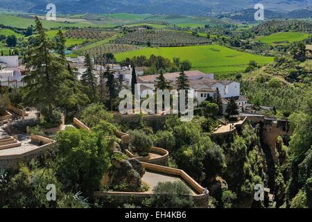 Spanien, Andalusien, Malaga, Ronda, Dorf und Umland Stockfoto