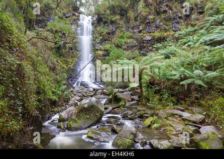 Australien, Victoria, Great Ocean Road, Great Otway National Park, Lorne, Erskine Falls Stockfoto