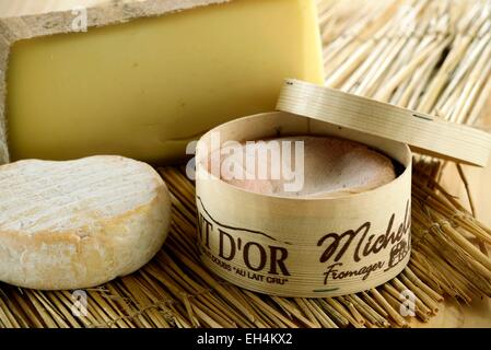 Doubs, Frankreich, Saint Point Lac, Michelin Käse, Milchprodukte, Käse AOP Mont d oder und Comte Petit Saint Point Stockfoto