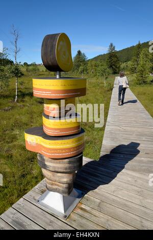 Frankreich, Jura, Les Rousses, Lac des Rousses, Moor, Naturlehrpfad Stockfoto