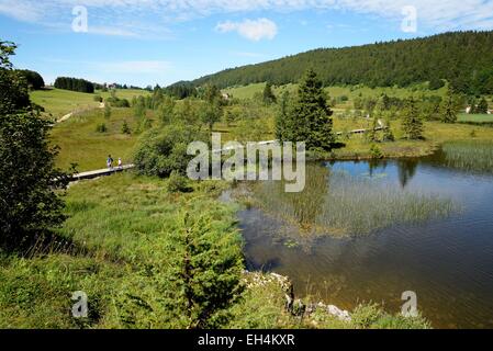 Frankreich, Jura, Les Rousses, Lac des Rousses, Moor, Naturlehrpfad Stockfoto