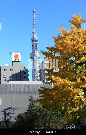 Japan, Insel Honshu, Tokyo, Taito, Asakusa Bezirk Sumida Bezirk von Tokyo Skytree Hintergrund Stockfoto