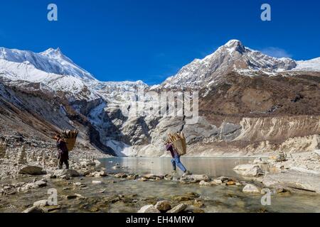 Nepal, Gandaki Zone, Manaslu Circuit, zwischen Samagaon und Samdo, See Birendra (alt.3450m) am unteren Rand der Manaslu Gletscher, Berg Manaslu (alt.8156m) im Hintergrund Stockfoto