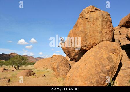 Namibia, Damaraland, Twyfeltontein, als Weltkulturerbe der UNESCO gelistet Stockfoto