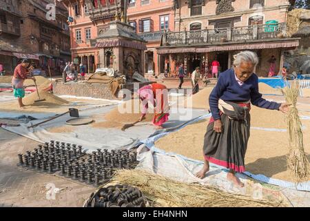 Nepal, Kathmandu-Tal, die als Weltkulturerbe der UNESCO, Bagmati Zone, Bhaktapur, Töpfer statt Reis sortieren Stockfoto