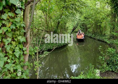 Somme, Amiens, Frankreich, die Hortillonnages, schwimmende Gärten, horn Bootstour Stockfoto