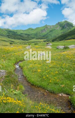 Frankreich, Puy de Dome, Tal der Fontaine Salee, Parc Naturel Régional des Vulkane d ' Auvergne (Auvergne Vulkane Naturpark) Stockfoto