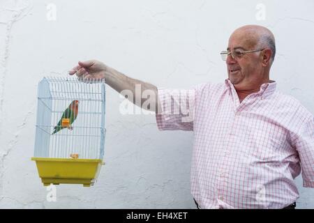 Spanien, Andalusien, Cadix, Ubrique, älterer Mann trägt einen Papagei in einem Käfig für Vögel Stockfoto