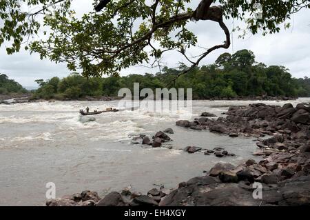 Frankreich, Französisch-Guayana, Parc Amazonien de Guyane (Guayana Amazonas Park), Abattis Cottica, Bootsmann an Bord einer Piroge in den Stromschnellen (Sprung) Lesse Dede markiert das Ende des Abattis Cottica Stockfoto