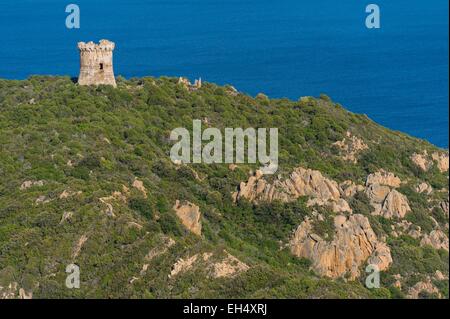 Frankreich, Corse du Sud, südlich von Ajaccio, Dorf Serra di Ferro, Turm von Capu Neru (Luftbild) Stockfoto