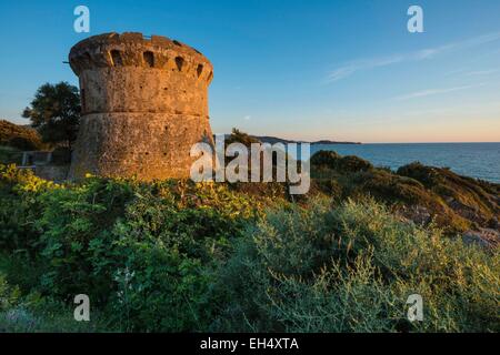 Frankreich, Corse du Sud, Ajaccio, Ricanto Strand, Capitello Turm Stockfoto