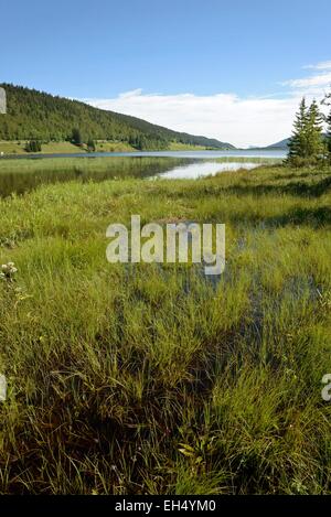 Frankreich, Jura, Les Rousses, Lac des Rousses, Moor Stockfoto