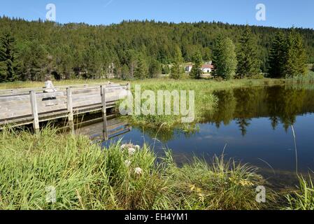 Frankreich, Jura, Les Rousses, Lac des Rousses, Moor, Naturlehrpfad Stockfoto