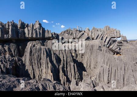 Madagaskar, Melaky Region, Nationalpark Tsingy de Bemaraha, strenge Naturschutzgebiet Tsingy de Bemaraha, Weltkulturerbe der UNESCO Stockfoto