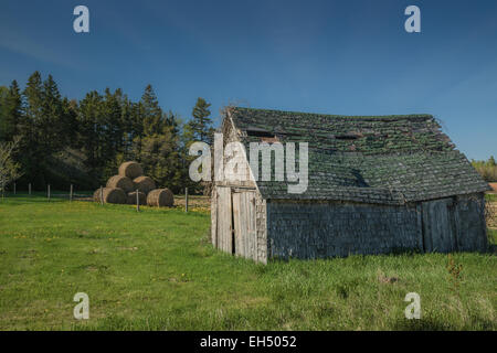 Ein Alter Bauernhof im ländlichen Prince Edward Island, Kanada. Stockfoto