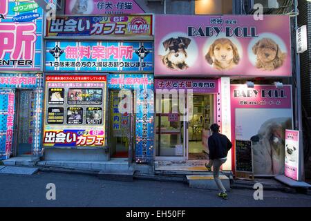 Japan, Honshu-Insel, Tokio, Shibuya, Bezirk Dogenzaka Stockfoto