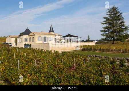 Frankreich, Gironde, Saint Laurent des Combes, Château de Candale Stockfoto