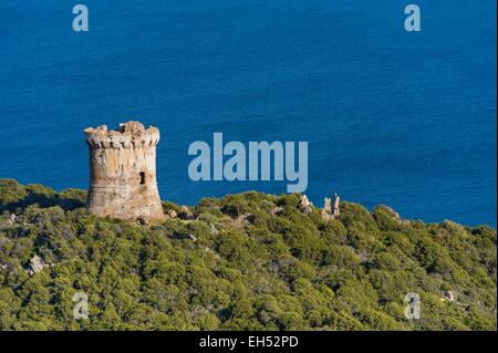 Frankreich, Corse du Sud, südlich von Ajaccio, Dorf Serra di Ferro, Turm von Capu Neru (Luftbild) Stockfoto