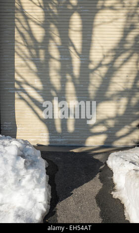 Baum Schatten auf Schnee und Garagentor Stockfoto