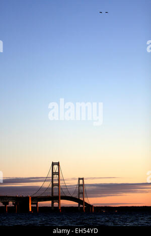 Gänse fliegen über die Mackinac Bridge, wie von der Michigan Shoreline an der Straße von Mackinac gesehen. Stockfoto