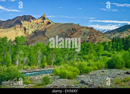 Der Shoshone River fließt durch die Absaroka Berge, zwischen Yellowstone und Cody, Wyoming der Vereinigten Staaten. Stockfoto