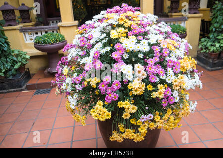 Blumen, Quan An Ngon Restaurant auf 18 Phan Boi Choi Street ist ein beliebtes authentische vietnamesische Restaurant, Han Noi, Hanoi, Vietnam, Stockfoto