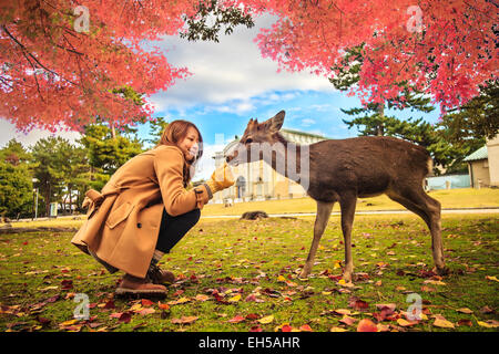 Nara Rehe frei herumlaufen in Nara-Park, Japan für Adv oder anderen Zweck Verwendung Stockfoto