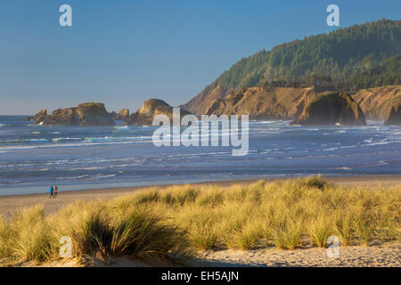 Abend-Sonne über den Strand und die Küste in Cannon Beach, Oregon, USA Stockfoto