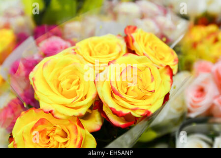 Blumenstrauß mit vielen verschiedenen Blumen Stockfoto