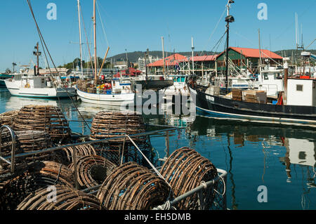 Reflexionen an Victoria Dock, Hobart, Tasmanien, Australien Stockfoto
