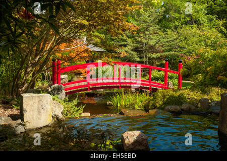 Japanischer Garten, Tasmanian Botanical Gardens, Hobart Stockfoto